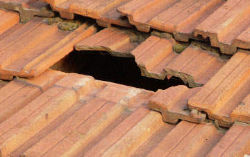 roof repair Glasllwch, Newport